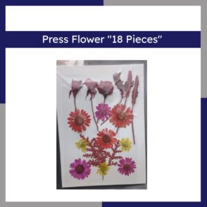 Press Flower 18 Pieces